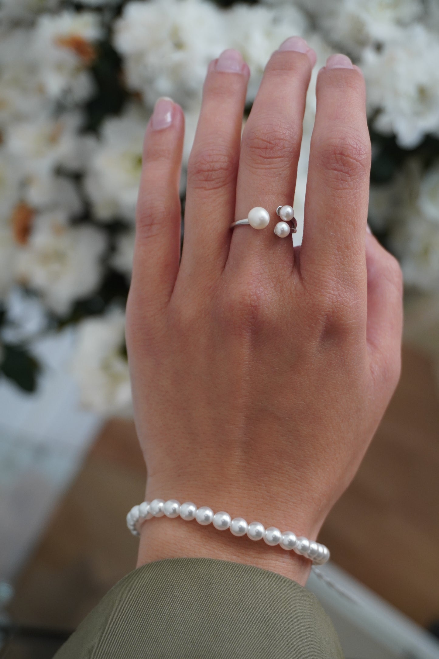 Set Seashell Pearl