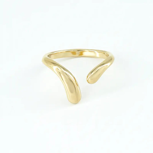 Anello Vega