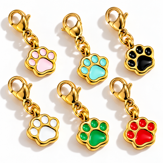 Charm Color Paws