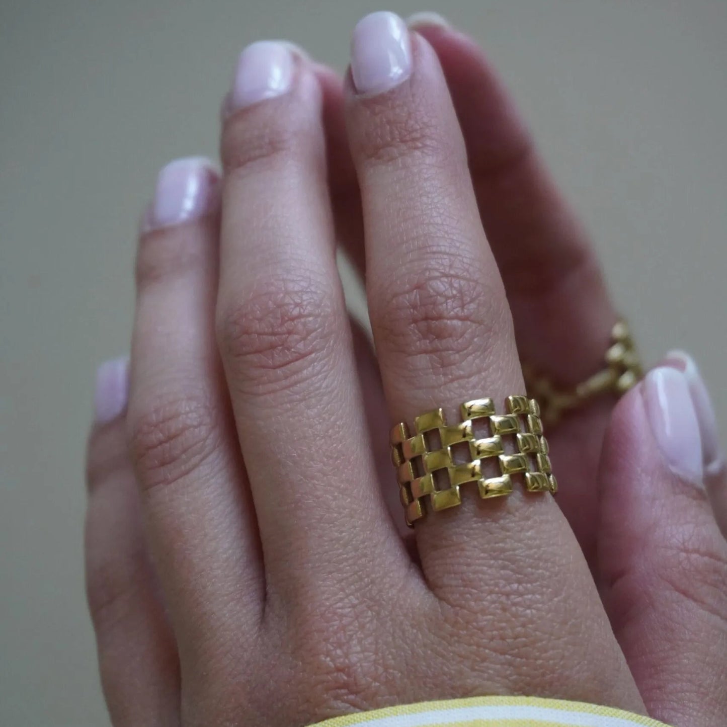 Anello Panther